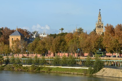 Espagne, Andalousie, Séville, en bordure du fleuve Guadalquivir, La Giralda