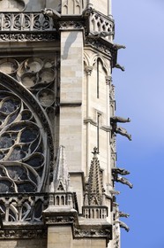 France, Paris, ile de la Cité, the Sainte Chapelle (the Holy Chapel), gargoyles of the facade