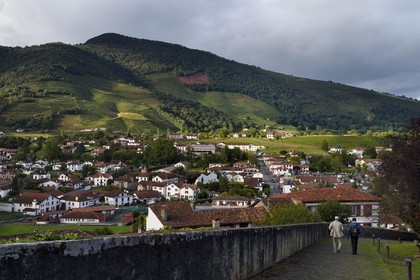 France, Pyrénées-Atlantiques (64), Pays-Basque, Saint-Jean-Pied-de-Port, les vignes de la colline d'Ispoure