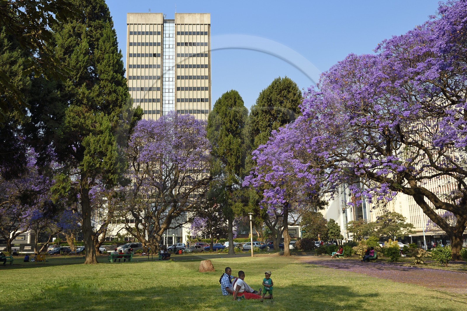 Zimbabwe, Harare, African Unity Square (formerly Cecil Square)