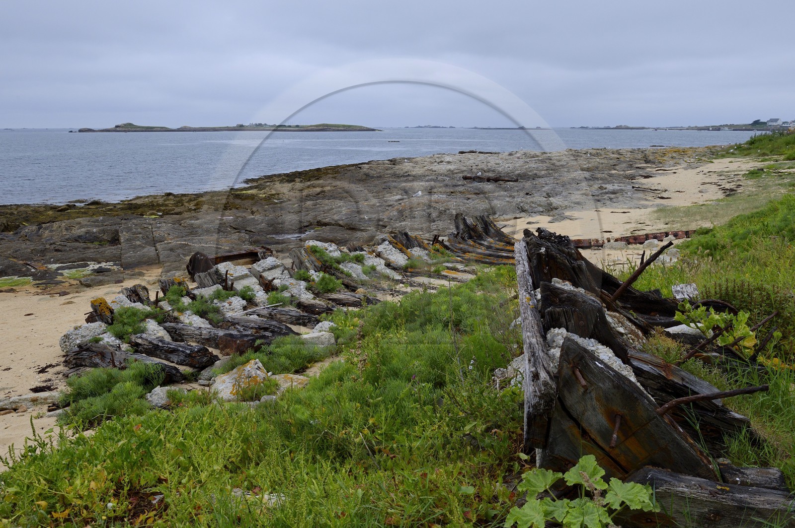 France, Finistère (29), La Foret Fouesnant, archipel des Glénan, Ile Cigogne, épave de bateau echoué