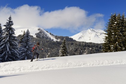 France, Haute-Savoie (74), Morzine, la vallée d'Aulps, massif du Chablais, domaine skiable des Portes du Soleil,