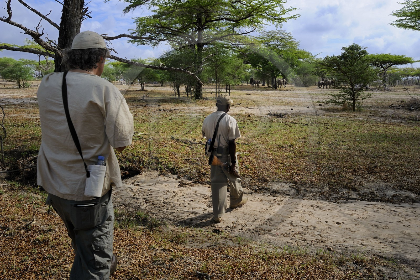 Tanzanie, Reserve de gibier de Selous une des plus grandes zones protégées au monde et inscrite sur la liste du patrimoine mondial de l’Unesco depuis 1982, Safari à pied en compagnie d'un ranger du Selous Camp