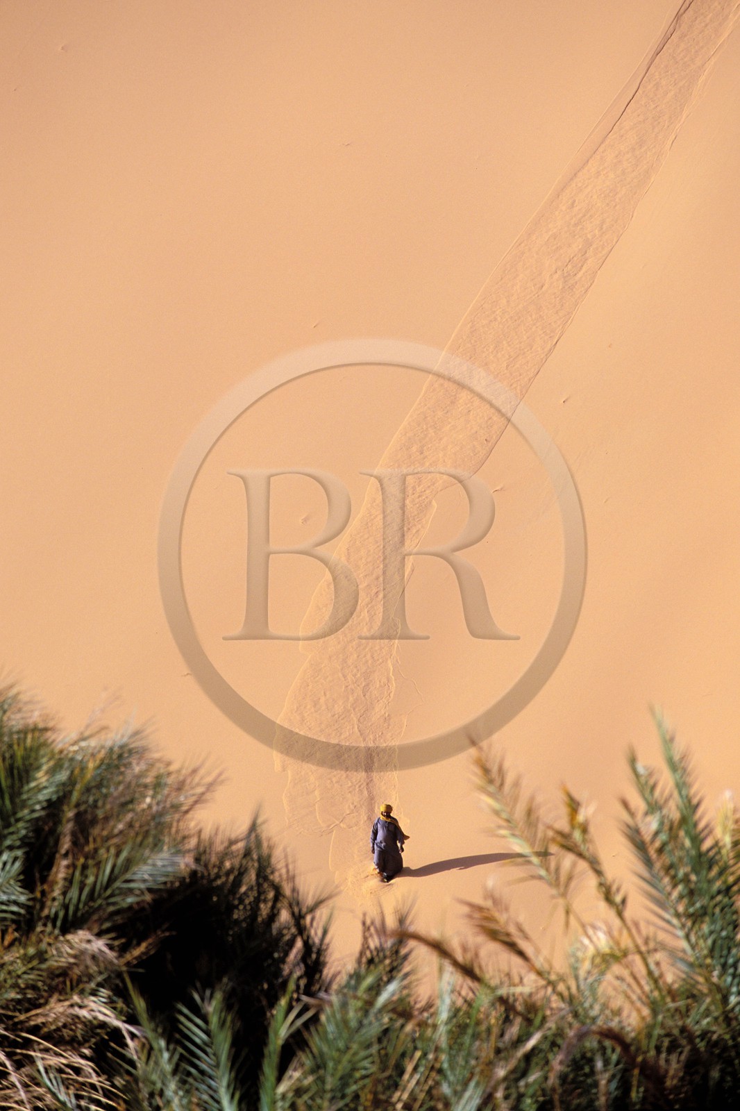 Libya, region of the desert, the Fezzan (Sahara), Tuareg getting down a dune of the Erg of Takioumet