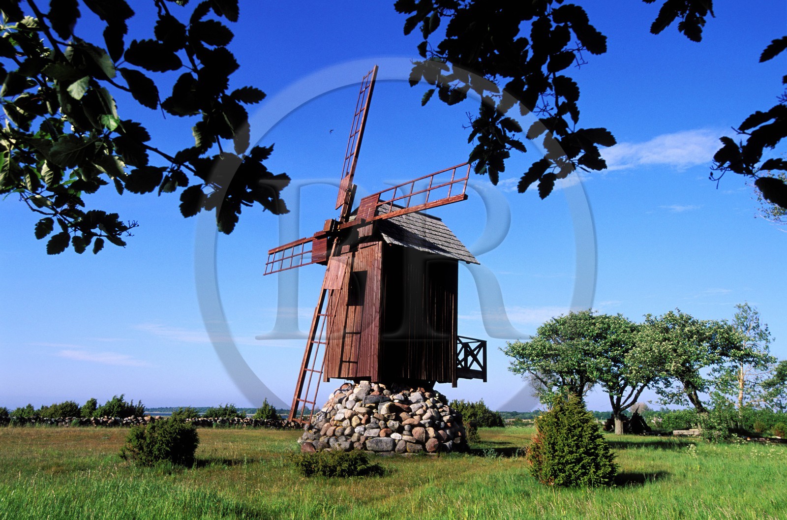 Estonie (Pays Baltes), île de Saaremaa, péninsule de Sorve, moulin à vent dans le village de Jamajala