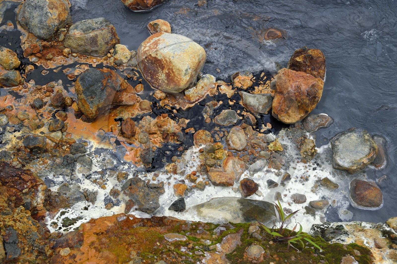 Caraïbes, Ile de la Dominique, Castle Bruce, Parc national du Morne Trois Pitons classé Patrimoine Mondial de l'UNESCO, la Vallée de la Désolation, rivière aux sources d'eau chaude dont la couleur unique est due à la présence de calcium, de carbone, de soufre et de fer, sur le sentier menant au Boiling Lake
