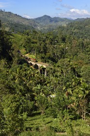 Sri Lanka, Province d'Uva, train sur la voie de chemin de fer dans la région montagneuse de la culture du thé entre Badulla et Ella, le Pont aux Neuf Arches (1921) non loin de Ella