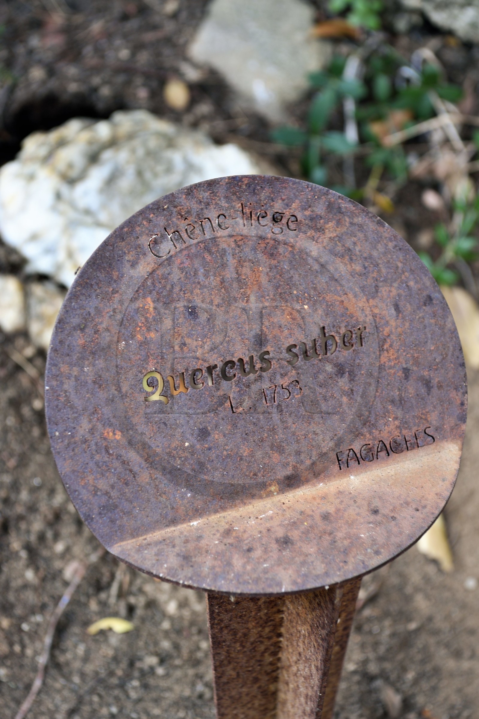 France, Var (83), Rayol-Canadel-sur-Mer, Domaine du Rayol, propriété du conservatoire du littoral mention obligatoire, le jardin des Méditerranées conçu par le paysagiste Gilles Clément, panneau explicatif