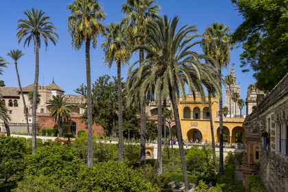 Espagne, Andalousie, Séville, Alcazar de Séville (Reales Alcazares de Sevilla), classé Patrimoine Mondial de l'UNESCO, les jardins et le Palacio Gotico