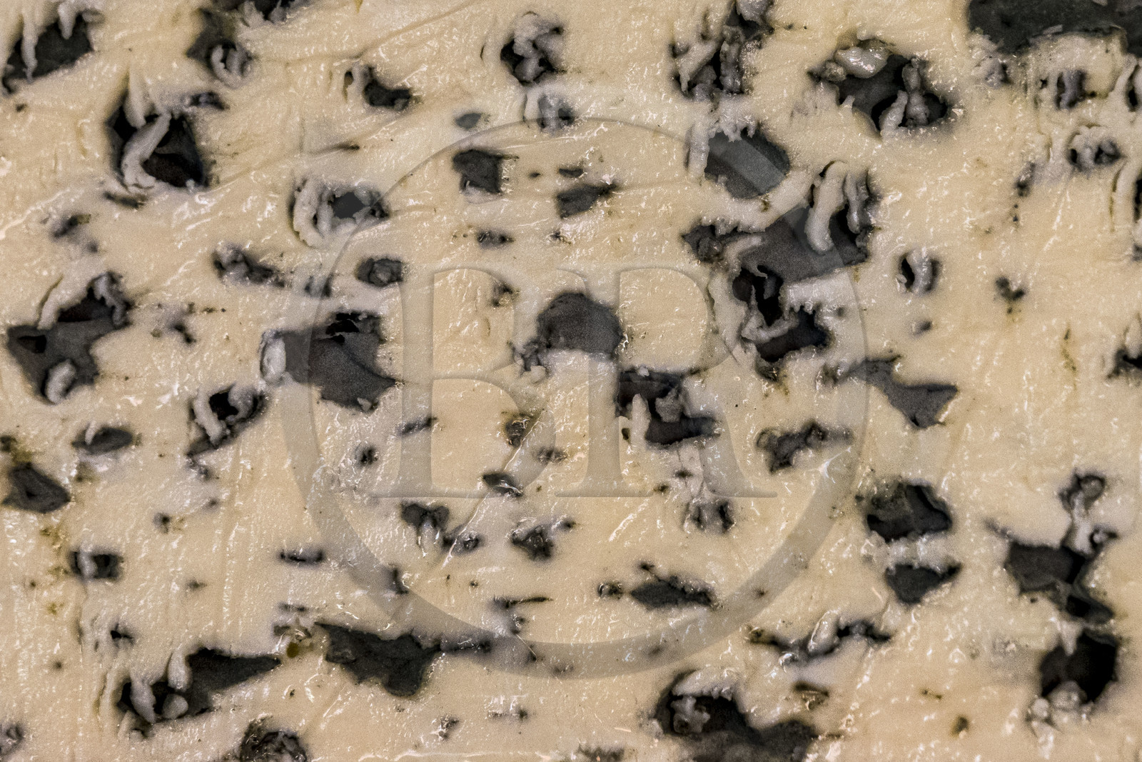 France, Aveyron, Grands-Causses Regional Nature Park, Roquefort sur Soulzon, Gabriel Coulet Roquefort cheese