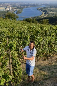 France, Loire, Parc Naturel Regional du Pilat (Natural Regional Park of Pilat), the domaine du Monteillet Stephane Montez, Stephane Montez in his vineyard overlooking the Rhone river