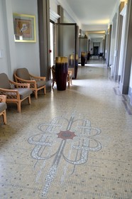 France, Allier (03), Vichy, Thermes des Dômes ou ancien Grand Établissement thermal, mosaïque art Déco au sol