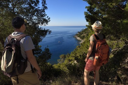 France, Var (83), La Seyne-sur-Mer, randonnée dans le massif du Cap Sicié le long du chemin du Joncquet en contrebas de la Corniche Merveilleuse
