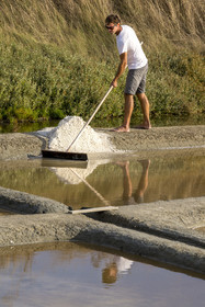 France, Vendee, Les Sables d'Olonne, the Salt Marshes of L'Ile d'Olonne, salt worker Damien Merceron harvesting salt in the Salorge de la Vertonne