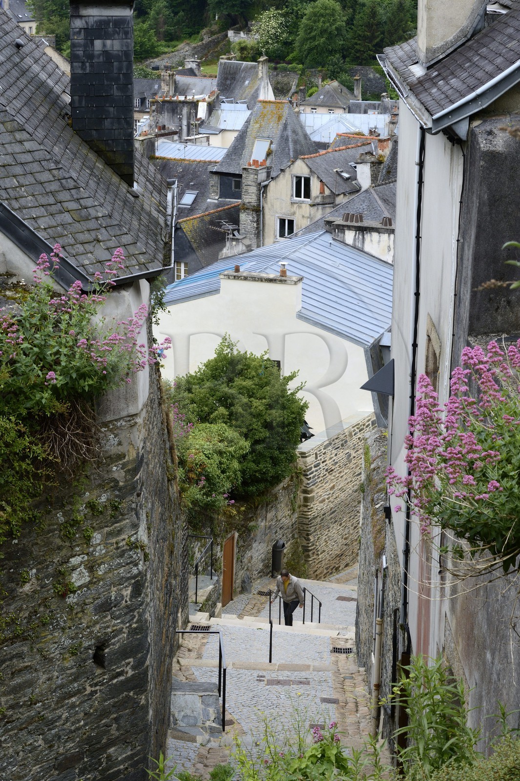 France, Finistère (29), Morlaix,  venelle aux Prêtres