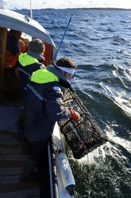 Sweden, Västra Götaland, Koster Islands, out to sea to retrieve lobster traps