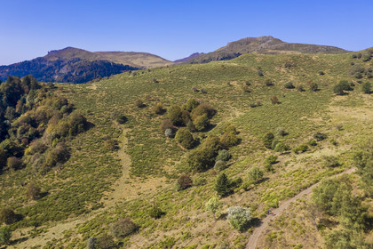 France, Cantal, Parc Naturel Régional des Volcans d'Auvergne (regional nature park of Auvergne volcanoes), Laveissière, hikers on the Way of St. James to Santiago de Compostela by Via Arverna, the Rocher du Bec de l'Aigle on the left, the Puy de Seycheuse on the right and the Puy Mary in the background (aerial view)