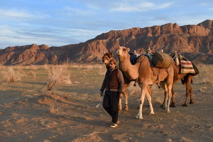 Iran, Isfahan province, Dasht-e Kavir desert, Mesr in Khur and Biabanak County, man leading camel train at the foot of the mountain range of Dareh bidan at sunset