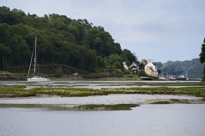 France, Finistère (29), voilier remontant Le Dossen ou rivière de Morlaix entre Locquénolé et Lanugy