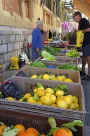 France, Alpes-Maritimes (06), Menton, marché couvert, halle municipale, le citron de Menton