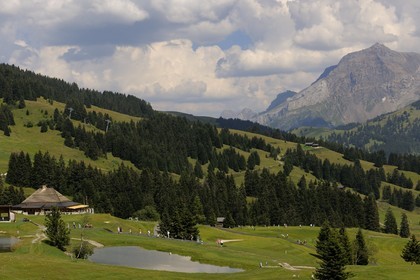 Switzerland, Canton of Vaud, Villars sur Ollon golf