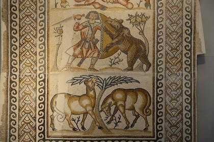 Israel, Jérusalem, quartier de Guivat Ram, musée d'Israel, departement d'archéologie, la salle 6 appelée La Terre Sainte, mosaïque de la nef de l'église de Kissoufim dans l'ouest du Néguev datée de 578