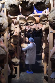 France, Pyrénées-Atlantiques (64), Pays-Basque, vallée des Aldudes, le Séchoir Collectif des Aldudes assure une prestation de séchage et l'affinage de jambons, zone de l'affinage