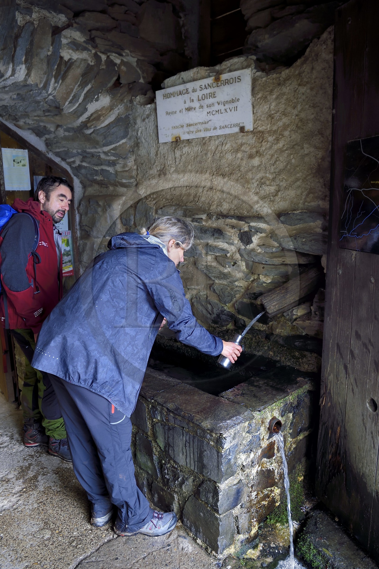 France, Ardeche, parc naturel regional des Monts d'Ardeche (Regional natural reserve of the Mounts of Ardeche), at Mont Gerbier de Jonc (altitude of 1551m), among the three sources of the Loire, the geographical source in the Ferme de la Loire of Mr. Eric Maréchal