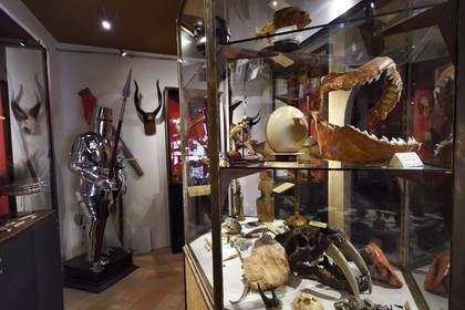 France, Dordogne, Perigord Noir, Dordogne valley, Sarlat la Caneda, Manoir de Gisson, cabinet of curiosities in the museum of the Manoir de Gisson