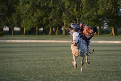 Argentine, province de Buenos Aires, San Antonio de Areco, estancia La Bamba de Areco, demonstration du savoir-faire d'un cavalier amerindien avec son cheval