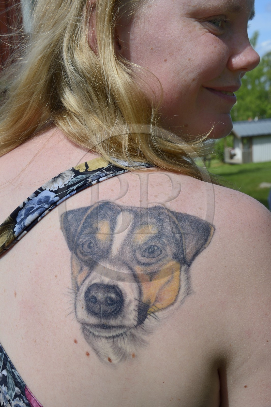 Suède, comté de Dalécarlie, région de Leksand, Sunnanäng, tatouage d'un Parson Russell Terrier sur l'épaule de sa maitresse
