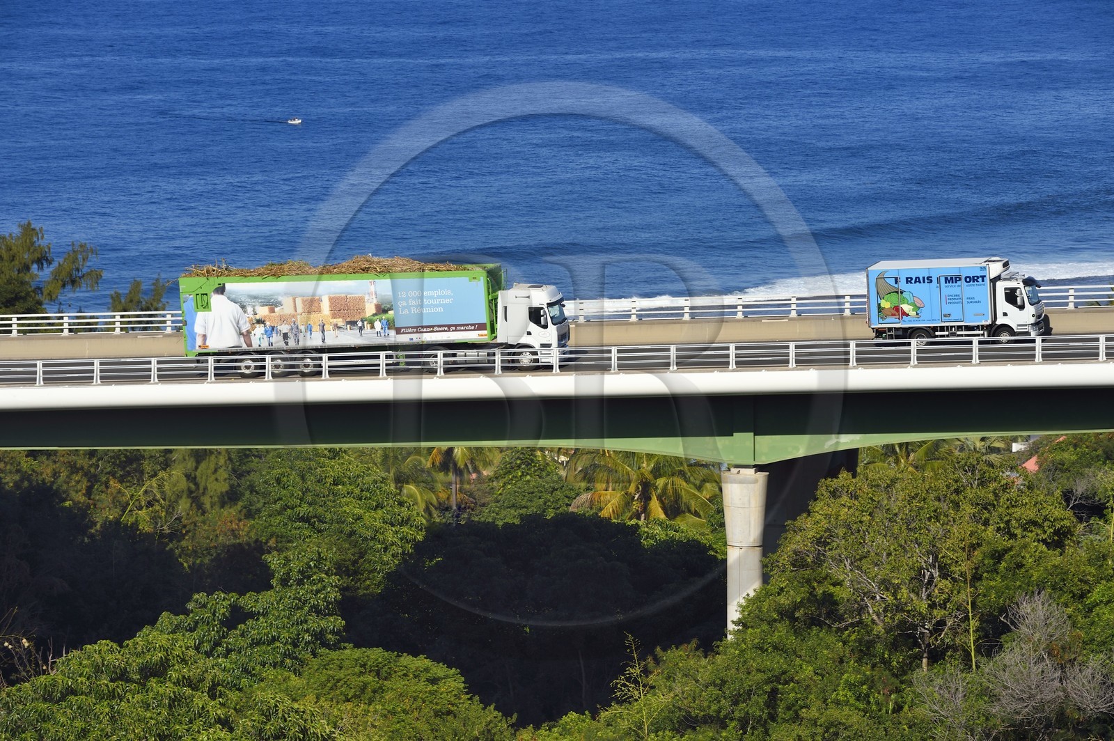 France, Ile de la Reunion, Petite-Ile, grands camions appelés cachalots qui acheminent la canne à sucre vers l'usine sucrière du Gol