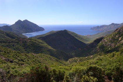 France, Corse-du-Sud (2A), Golfe de Girolata, classé Patrimoine Mondial de l'UNESCO, la Punta Rossa de la Réserve naturelle de la presqu'île de Scandola sur la droite en arrière plan depuis le Col de Palmarel