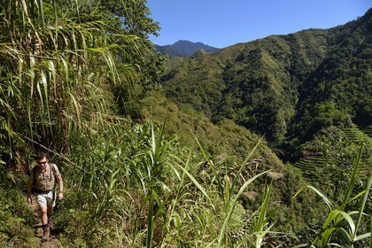 Philippines, province d'Ifugao, randonnée sur le sentier reliant les villages de Cambulo et Batad dans les montagnes de Banaue, en arrière plan les rizières en terrasses, classées Patrimoine Mondial de l'UNESCO