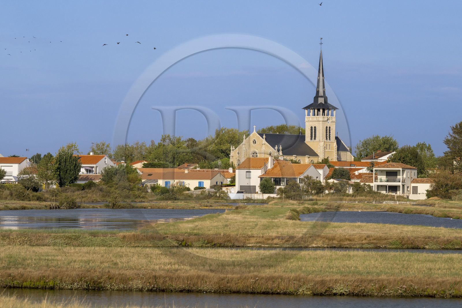 France, Vendee, L'Ile d'Olonne next to Les Sables d'Olonne, the Saint-Martin-de-Vertou church on the edge of the salt marshes