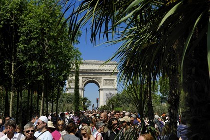 operation Nature Capitale 2010 on the Champs-Elysées