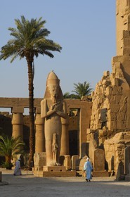 Egypt, Upper Egypt, Nile Valley, Luxor, Karnak Temple listed as World Heritage by UNESCO, the colossus of Ramesses II