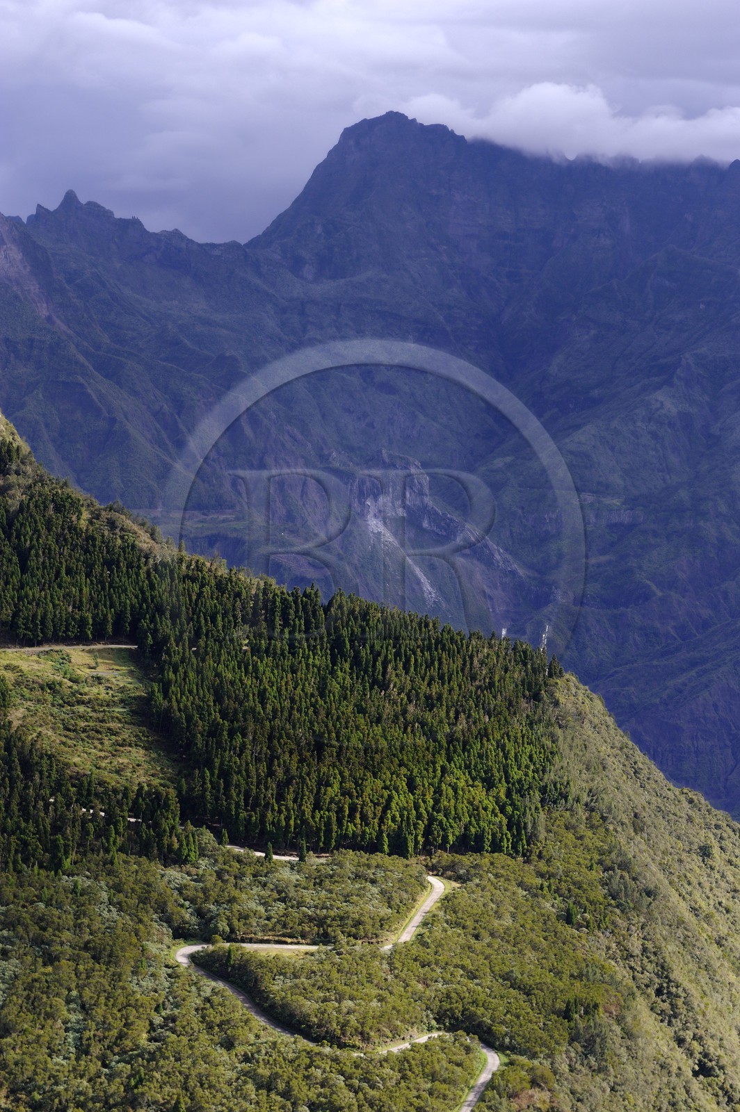 France, Ile de la Reunion, la foret domaniale des Makes dominant le cirque de Cilaos et le Piton des Neiges (3070m) classés Patrimoine Mondial de l'UNESCO (vue aérienne)
