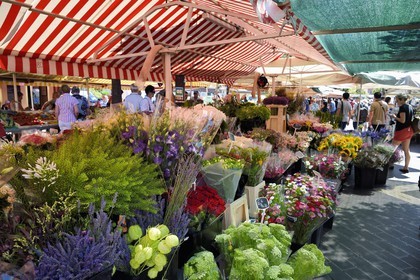 France, Alpes-Maritimes (06), Nice, vieille ville, marché du cours Saleya, marché aux fleurs