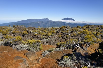 France, Ile de la Reunion, Parc National de la Réunion classé Patrimoine Mondial de l'UNESCO, sur les pentes du volcan de Piton de la Fournaise, randonnée du sentier couvert de lapillis de l'oratoire Ste Thérèse au dessus de la Plaine des Sables, le Piton des Neiges en arrière plan au nord