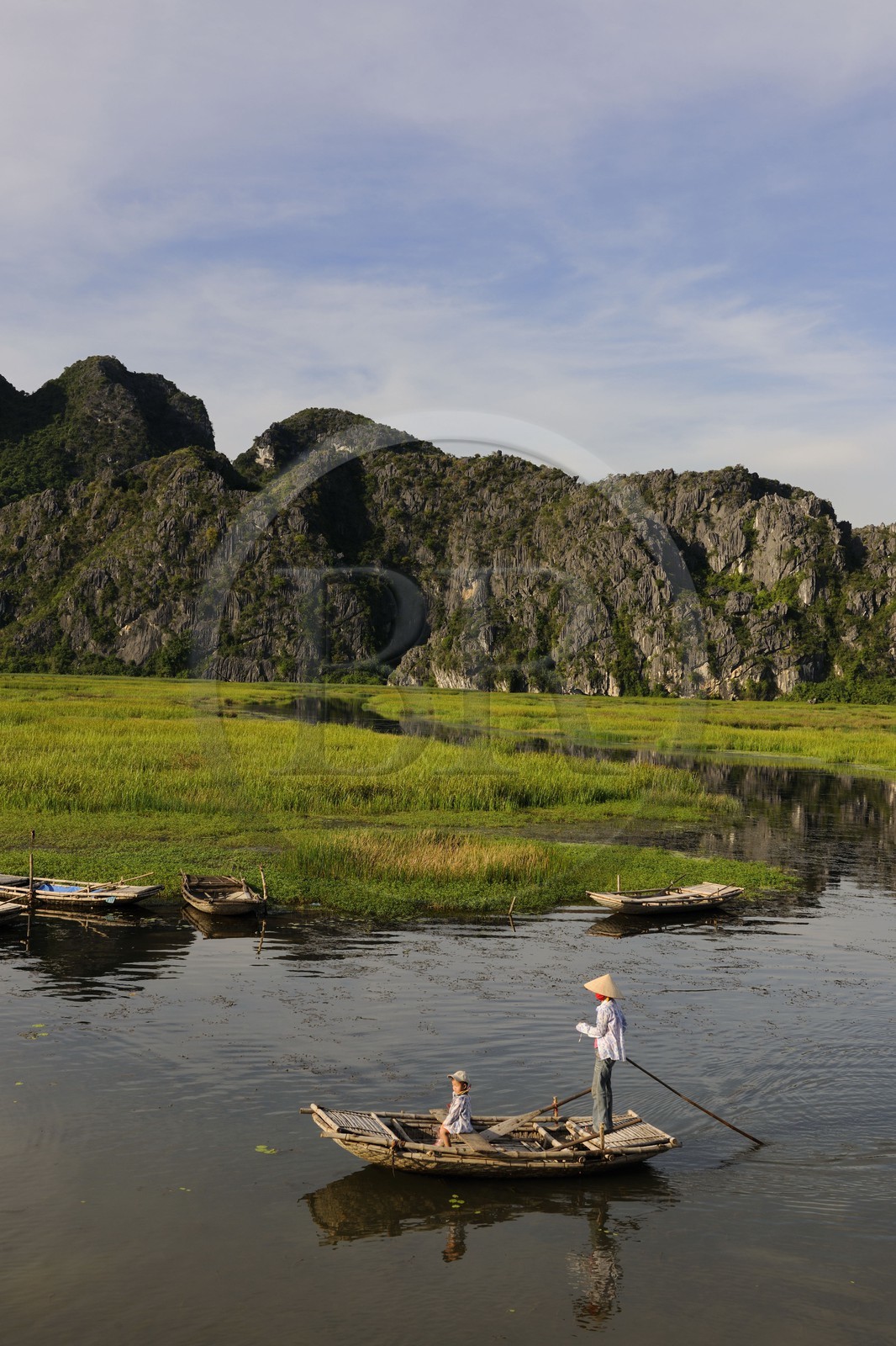 Vietnam, province de Ninh Binh, région surnommée la baie d'Halong terrestre, réserve naturelle de Van Long et ses paysages karstiques