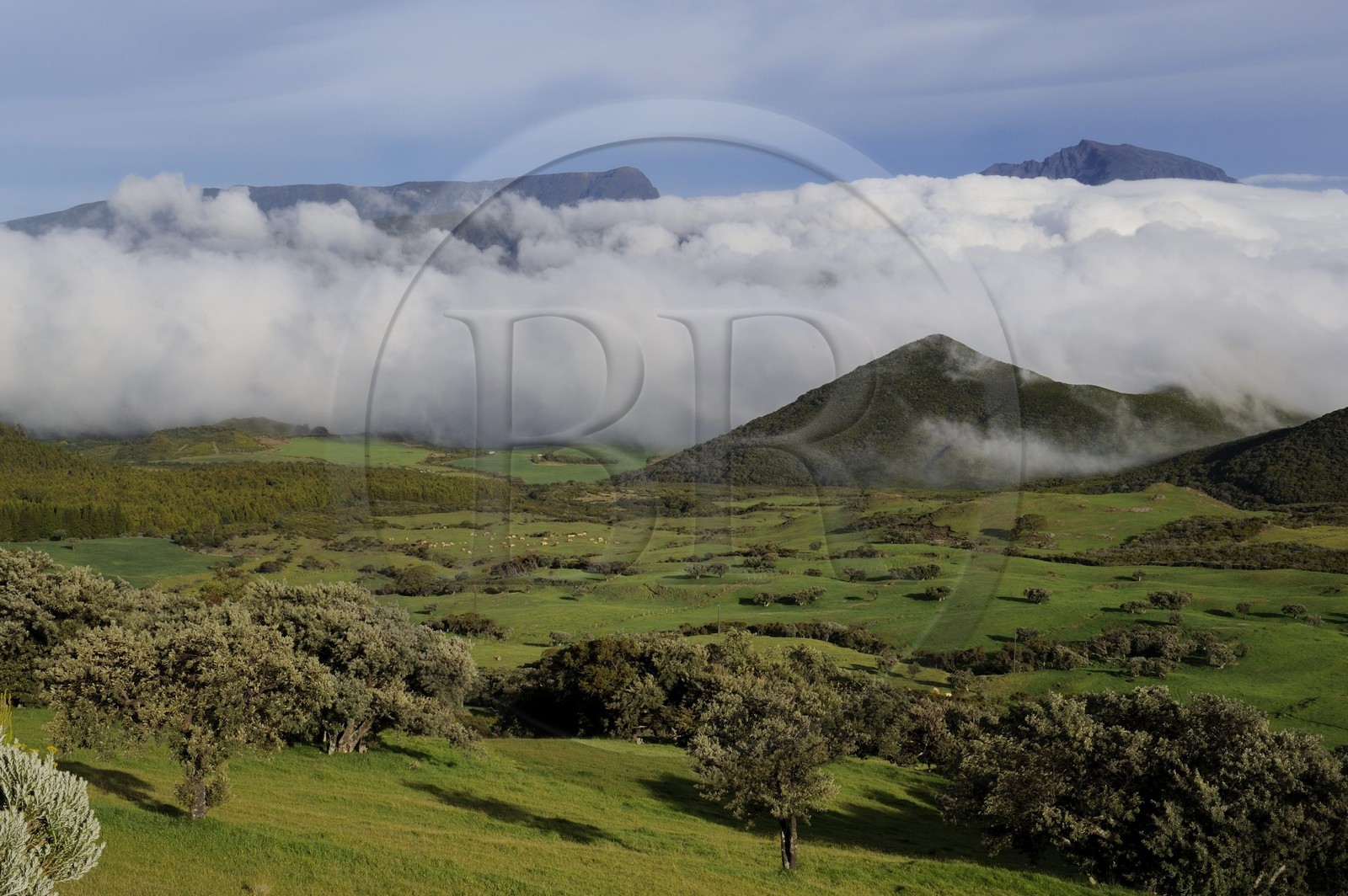 France, Ile de la Reunion, la Plaine des Cafres au pied des pentes du volcan du Piton de la Fournaise et l'ancien volcan du Piton des Neiges en arrière plan