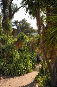 France, Var (83), Rayol-Canadel-sur-Mer, Domaine du Rayol, propriété du conservatoire du littoral mention obligatoire, le jardin des Méditerranées conçu par le paysagiste Gilles Clément,