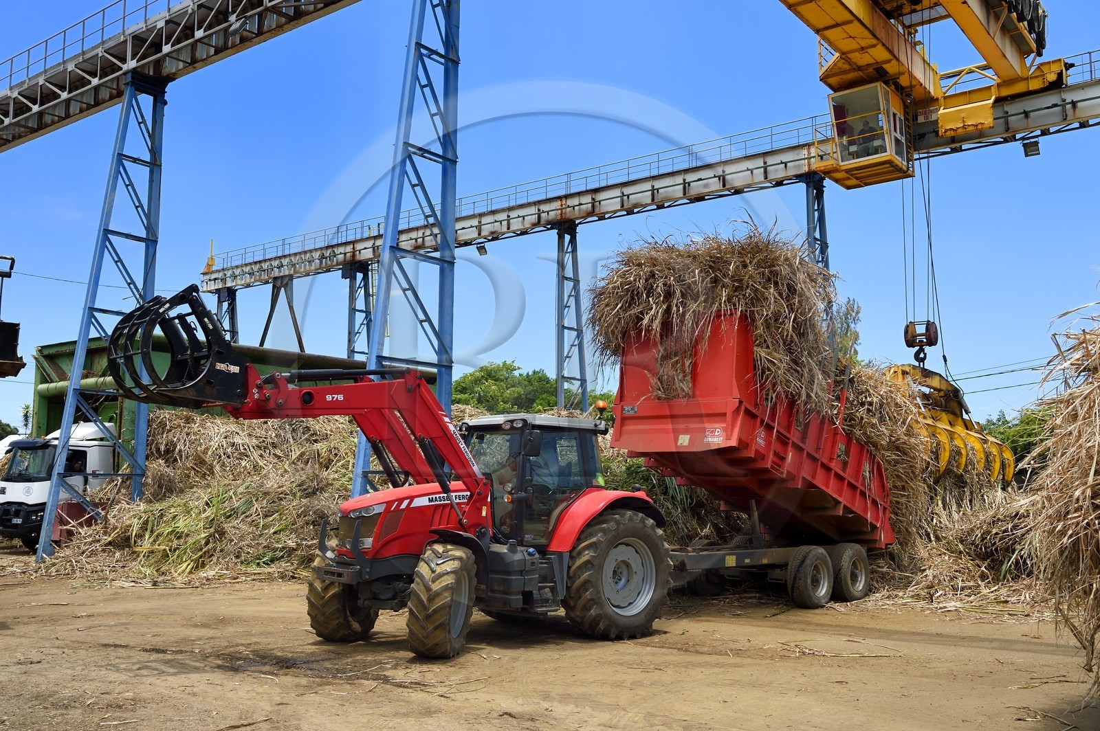 France, Ile de la Reunion, Saint-Joseph, un des 11 centres de réception et de collecte de la canne à sucre aussi appelés Balance, les tracteurs amènent depuis les champs la canne dans des remorques, elle est ensuite pesée et chargée dans de grand camions appelés cachalots pour être acheminée vers l'usine sucrière du Gol