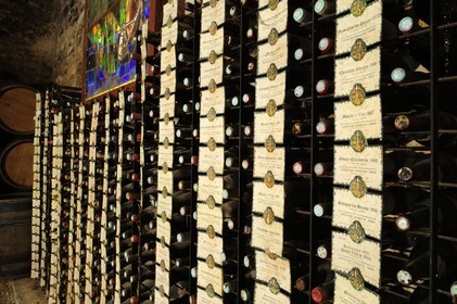 France, Côte-d'Or (21), le Château du Clos-de-Vougeot (vignoble des Côtes de Nuit), collection de grands crus