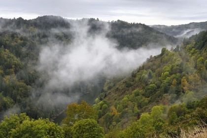 France, Cantal (15), Gorges de la Truyère à Alleuze