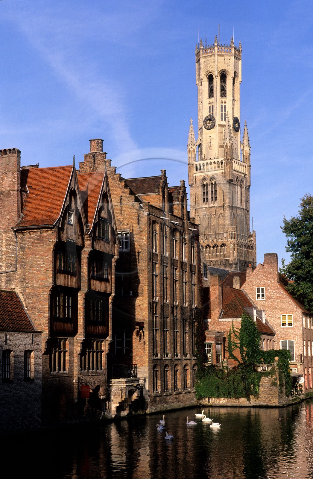 Belgium, West Flanders, Bruges (Brugge), the belfry of the Grand' place (Markt) and the canal