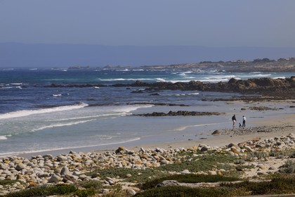 United States, California, 17 Mile Drive, Spanish Bay
