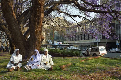 Zimbabwe, Harare, African Unity Square (formerly Cecil Square), nuns sitting under a jacaranda