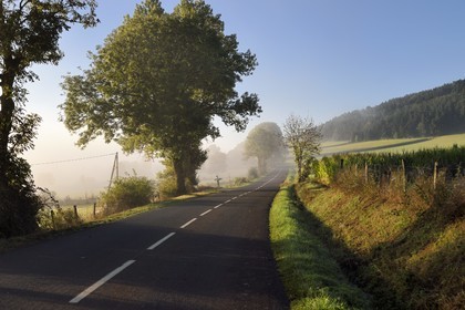 France, Haute-Loire (43), Ussel, route de campagne dans la brume estivale du matin